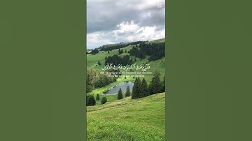 #اكسبلور #explore #راحة_نفسية #قران_كريم #قرآن #لايك #duet #shortvideo #القارئ ياسر الدووسري🩵🩵