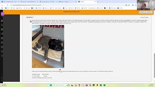 How to check your grades and see instructor feedback