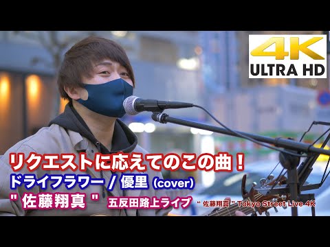 【4K】リクエストに応えてのこの曲！　ドライフラワー / 優里（cover） " 佐藤翔真 " 五反田路上ライブ  4K動画