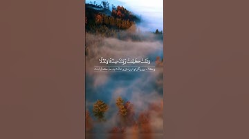 سوره مبارکه انعام، آیات ۱۱۴ تا ۱۱۷🔹️گوینده: بهروز رضوی 🔹️مترجم: مسعود ریاعی #quran_farsi