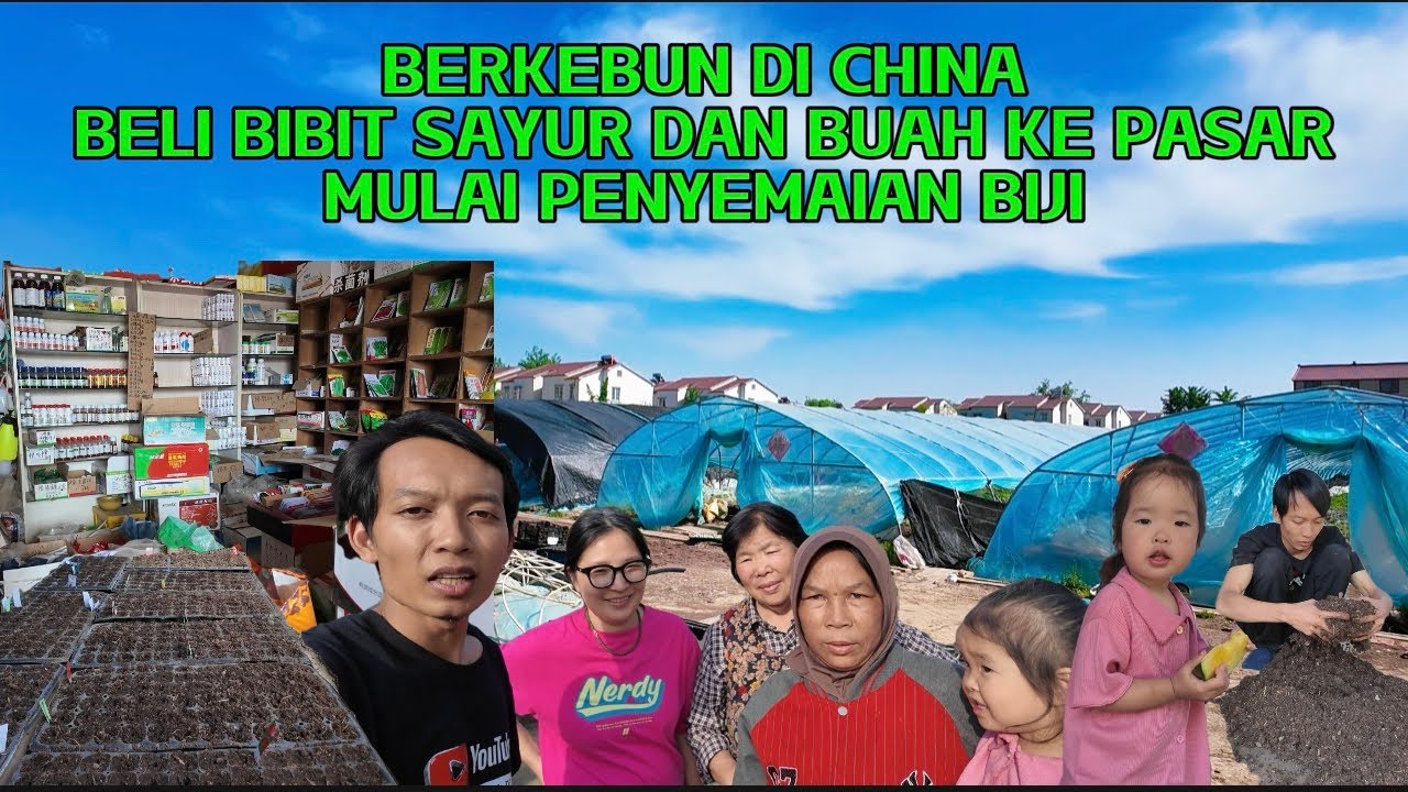 MULAI BERKEBUN PENYEMAIAN SAYURAN DAN BUAH