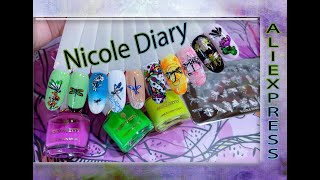 Стрекозы / Реверсивный Стемпинг с пластиной Nicole Diary №261.