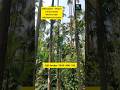 1.50 Acre Beautiful Estate  Sale | Sringeri | Chikmagalure Karnataka Resort Farmhouse Agricultural