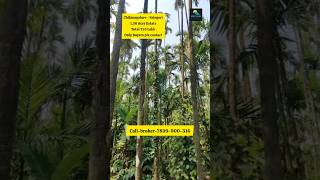 1.50 Acre Beautiful Estate  Sale | Sringeri | Chikmagalure Karnataka Resort Farmhouse Agricultural