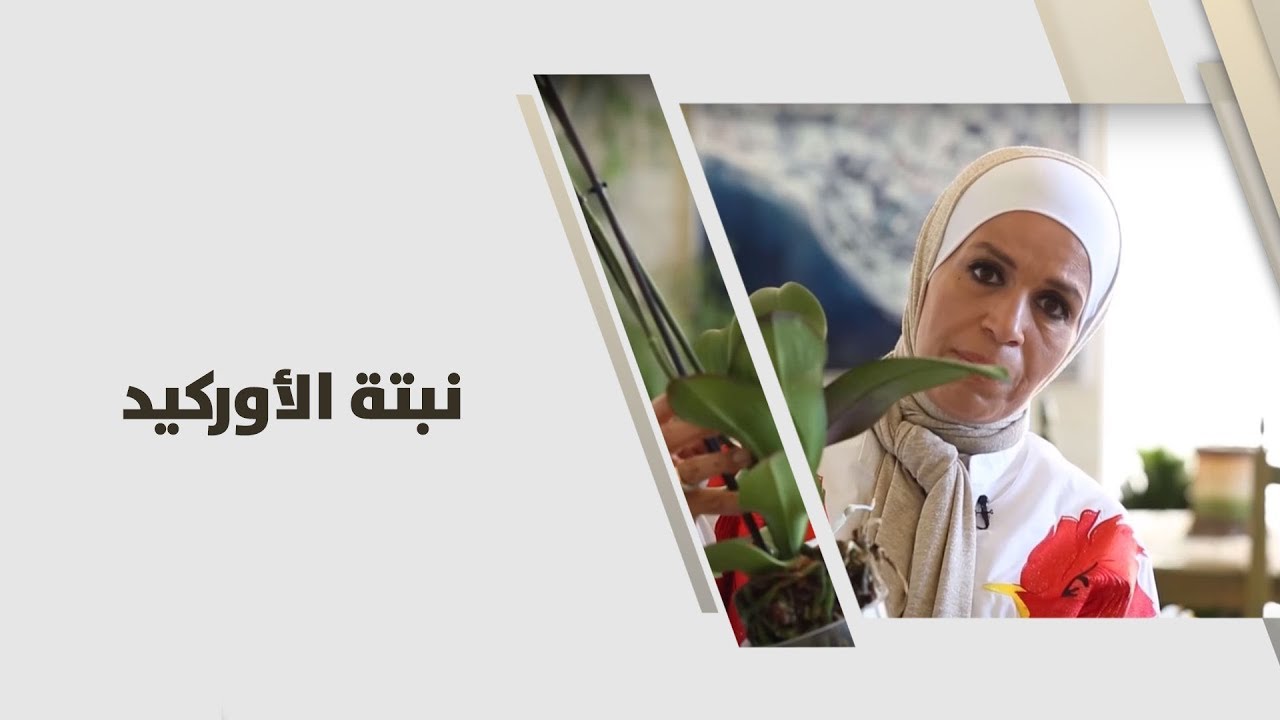 م. أمل القيمري - نبتة الأوركيد - زراعة وبيئة