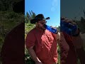 LifeStraw vs Mountain Water Test