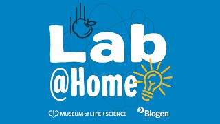Lab@Home: Scientist Spotlight with Dr. Becca Peixotto