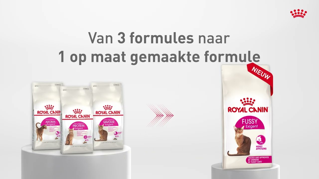 Royal Canin Protein Exigent 2kg | Cuotas sin interés