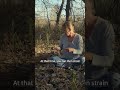 Cottonwood Bud Salve | Nicole Zempel