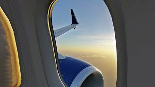 LevelUp 737NG V2 -  Jiggly Physics