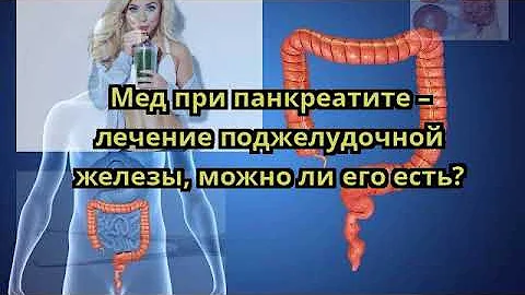 Мед при панкреатите – лечение поджелудочной железы, можно ли его есть?