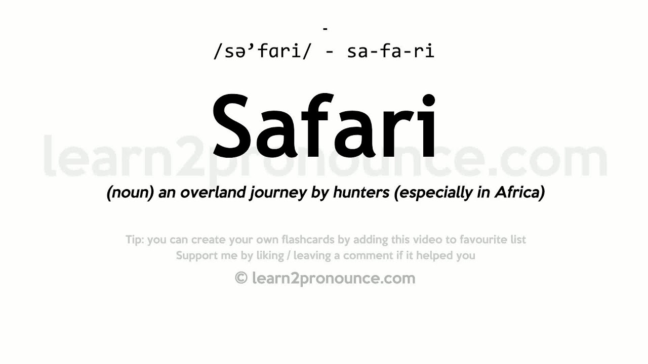 dictionary meaning for safari