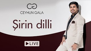 Ceyhun Qala — Şirin Dilli | Canlı İfa | ARB TV Resimi