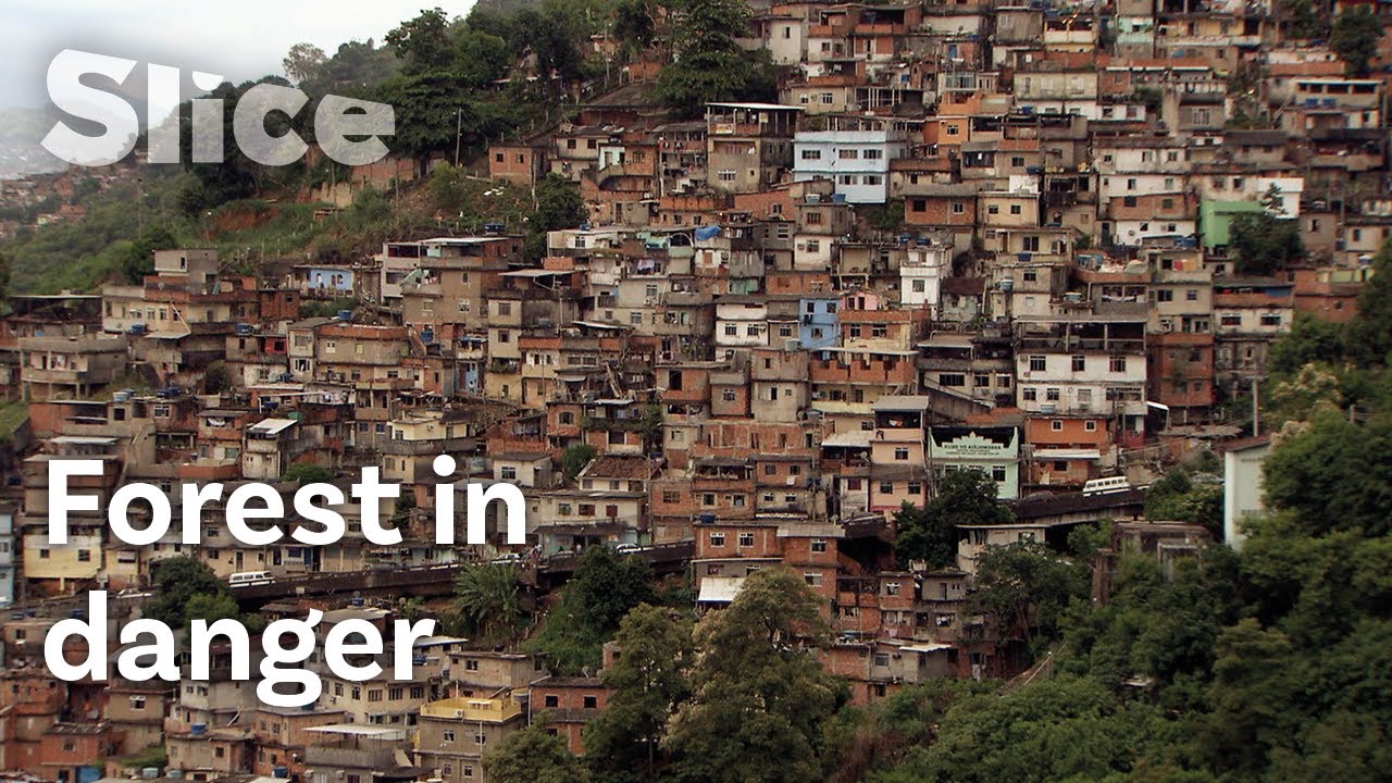 Documentary backdrop image for Rio's Ecosystem is Reaching Saturation Point (2020)