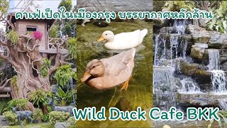 บรรยากาศหลักล้าน คาเฟ่เป็ด(Wild Duck Cafe BKK)มีนบุรี กทม.อีกหนึ่งคาเฟ่สวยแนะนำ | พิมStory