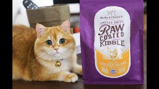 Cat Food Shortage 2022 Topcatfoodbrands