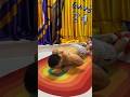 Day 1 vs Day 30: Push-up Transformation 🔥#trending #song #viral #shorts