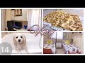 Мотивация на уборку! Имеретинские хачапури! Самая послушная собака! | Нонна будни в Греции