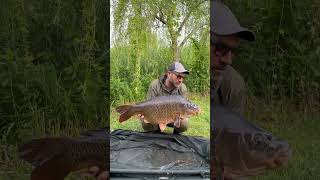"REGINA DEL MINCIO" Pesce incredibile!! #carp #carpfishing #fishing