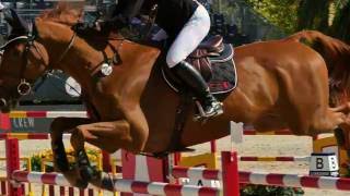 LEARNING TO FALL Book Trailer