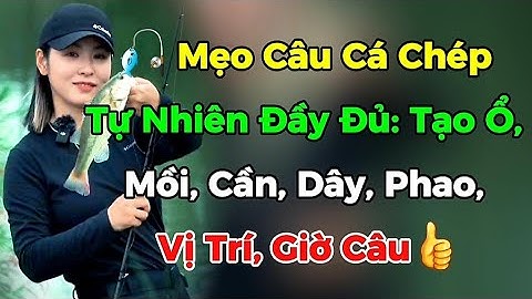 🎣 Mẹo Câu Cá Chép Tự Nhiên Đầy Đủ: Tạo Ổ, Mồi, Cần, Dây, Phao, Vị Trí, Giờ Câu | Fishing 24H