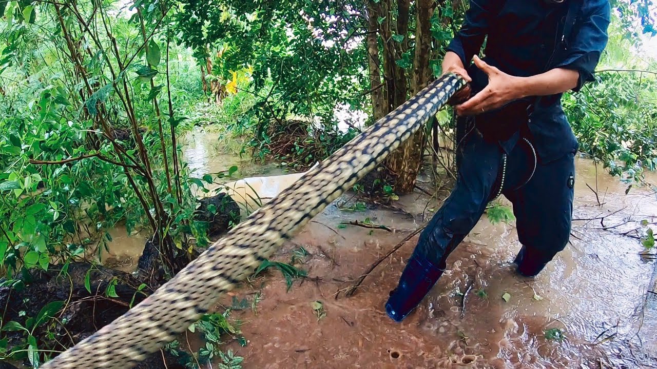 Liều Mình Thu Phục Quái Vật Khu Suối Hoang p2