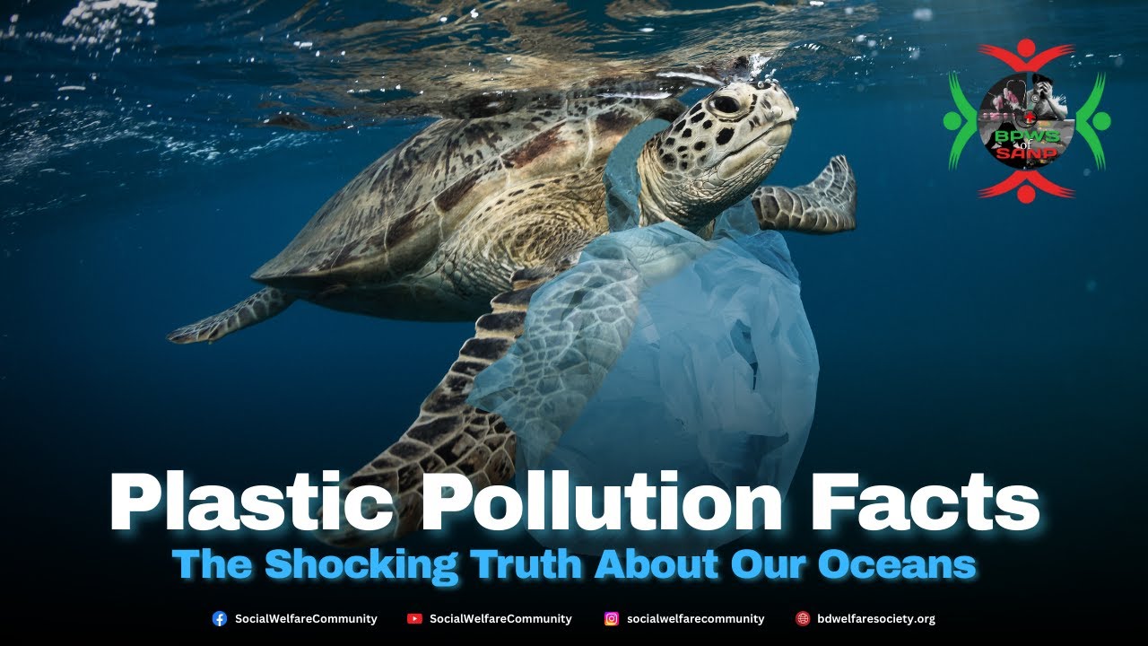 Plastic Pollution Facts: The Shocking Truth About Our Oceans 🌍 - YouTube