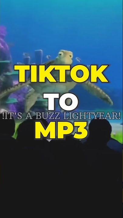 TikTok to MP3 | Flixier