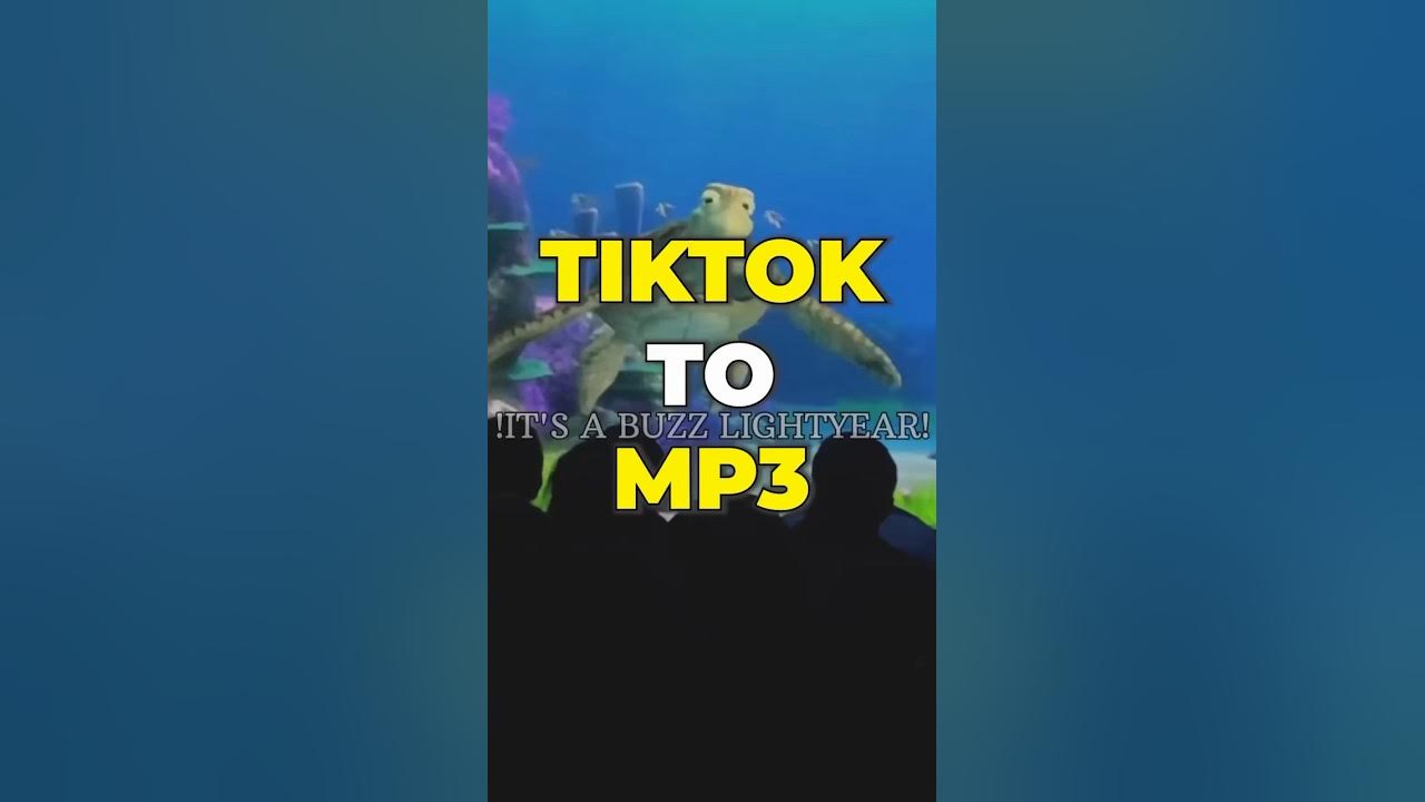 TikTok to MP3  Flixier 