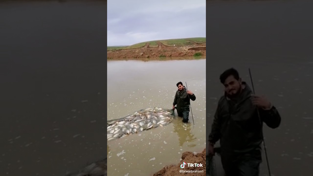 866698🐬🐳🐬🐳🐋🐬🐋🐬🐋