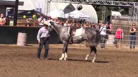 Getting a horse to stand still while you get on