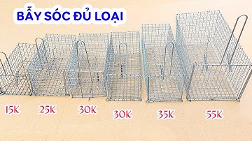 BÁN LỒNG BẪY SÓC đủ loại, bẫy sóc bông, sóc đất từ lớn tới nhỏ