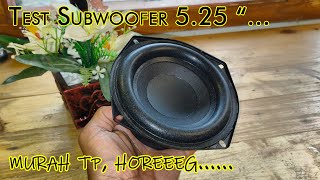 Test subwoofer 5.25 inch #review#test#subwoofer