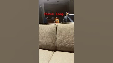 #funny #butifyoucloseyoureyes #lifeisbutadream #ihavethisthingwithplants #filter #redflags #loop