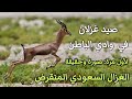 صيد غزلان بوادي الباطن والدبدبة بجوار الصمان لأول مرة صورة وحقيقة الظبي السعودي المنقرض العفري 