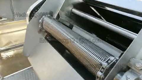 Small continuous type fryer with conveyor