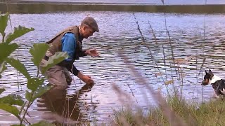 FF1 Torrflugor för stilla vatten - FISKE (Full Movie - Swedish)