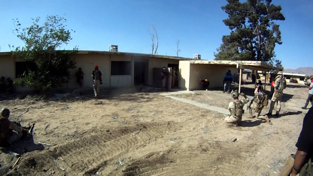 Operation Lion Claws XII