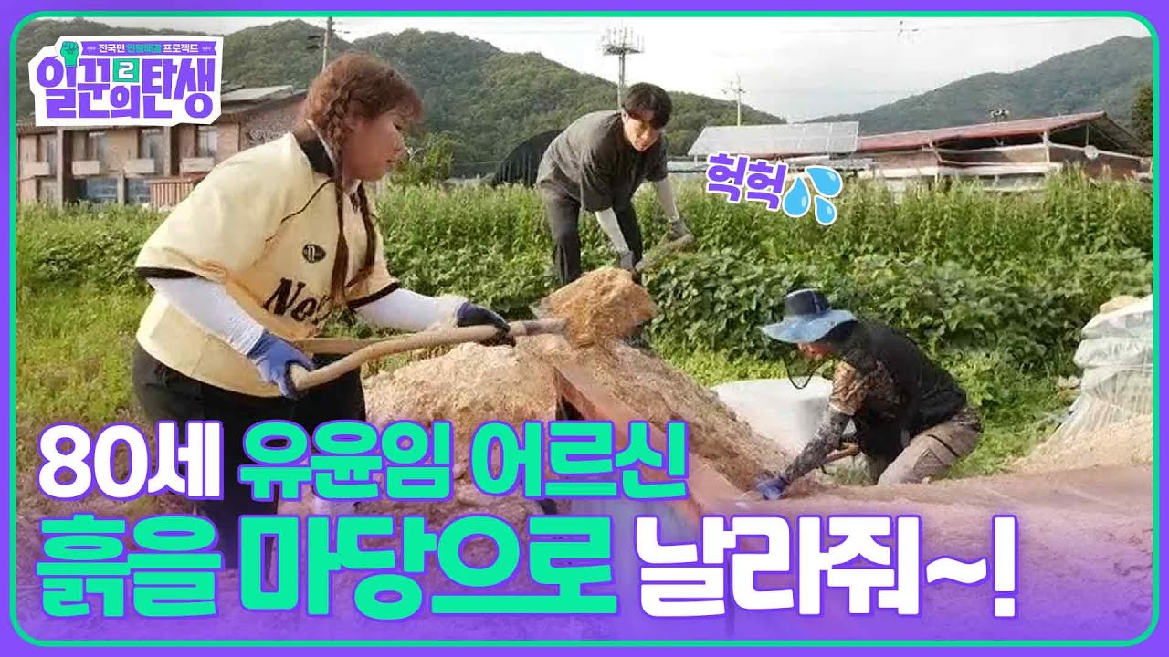 80세 유윤임 어르신, 흙을 마당으로 날라줘~! [일꾼의 탄생 시즌2] | KBS 250827 방송