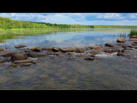 Where Does The Mississippi River Begin? Lake Itasca, MN 4K video