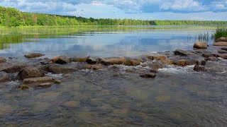 Where Does The Mississippi River Begin? Lake Itasca, MN 4K video