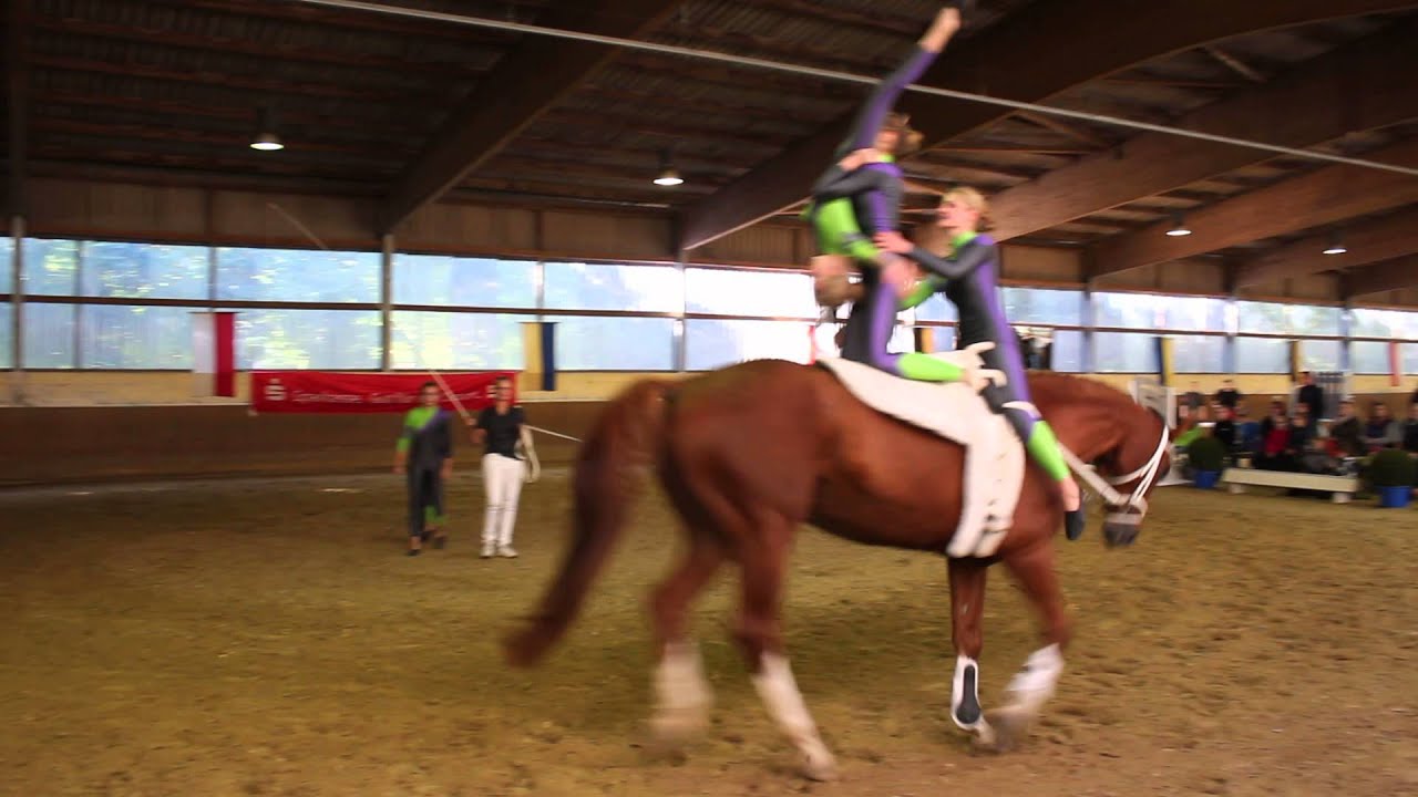 RFV Steyerberg 2 || Heimturnier Steyerberg - Kür