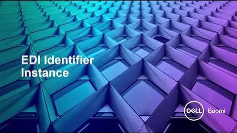 BOOMI EDI  B2B    EDI  Management  EDI Identifier Instance 6