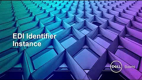 BOOMI EDI  B2B    EDI  Management  EDI Identifier Instance 6