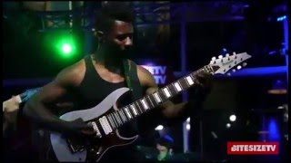 TOSIN ABASI (Animals as Leaders) - Tooth and Claw
