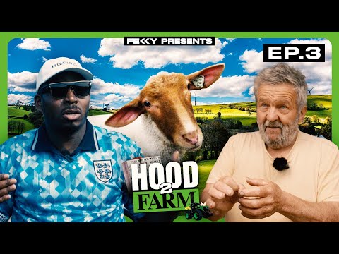 I Had A Close Shave With A Sheep | #hood2farm EP3