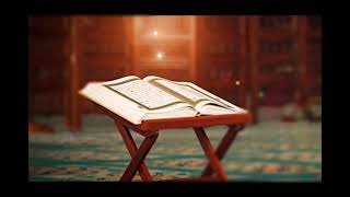 Surah An Nur سورة النور | Ahmad Naina