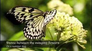 Preschool Adventure Advantage - Butterfly (Spring)