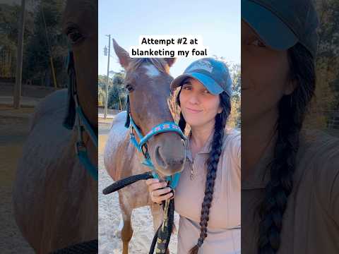 My Most Opinionated Foal Horse Foal Equestrian Horsegirl Cowgirl Cowboy Farmlife Animals