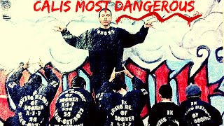 Who are the Hang Out Boyz 13? | One of the deadliest young Sureño gangs gangs in Los Angeles!